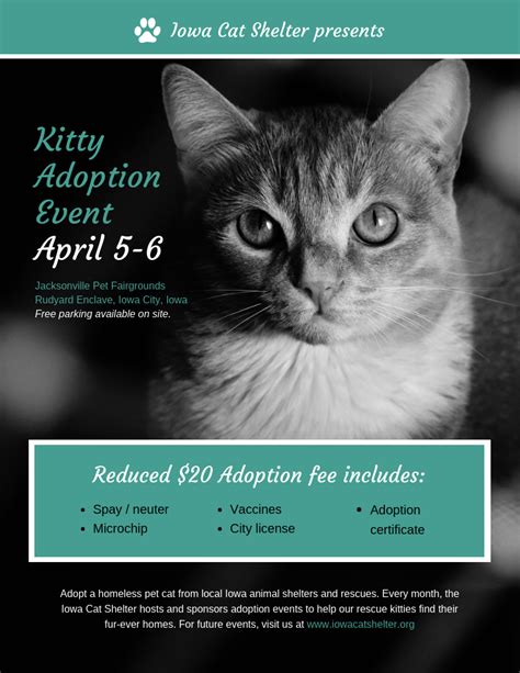 charities for cats|Adopt A Cat (Main Page) .